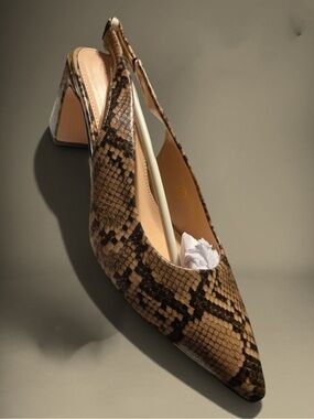 Women’s Slingback Pointed-Toe Pump in Brown Snake Print